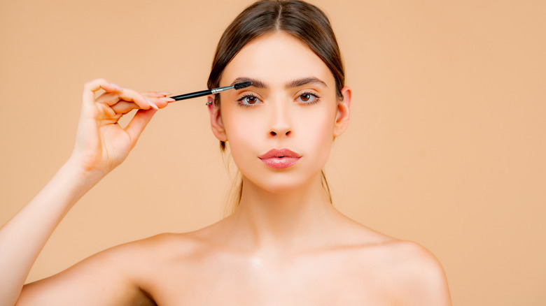 How to apply Bimatoprost for eyebrows
